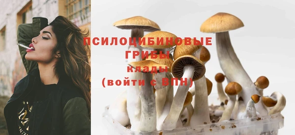 ГАЛЛЮЦИНОГЕННЫЕ ГРИБЫ Пестово