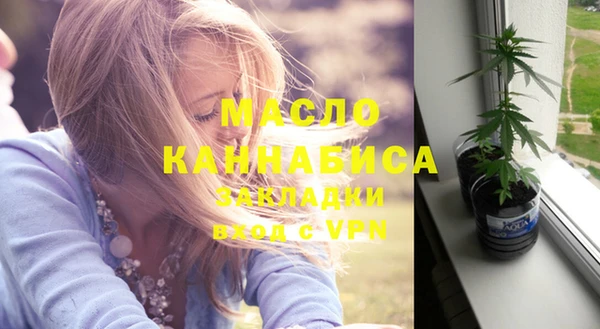индика Пересвет