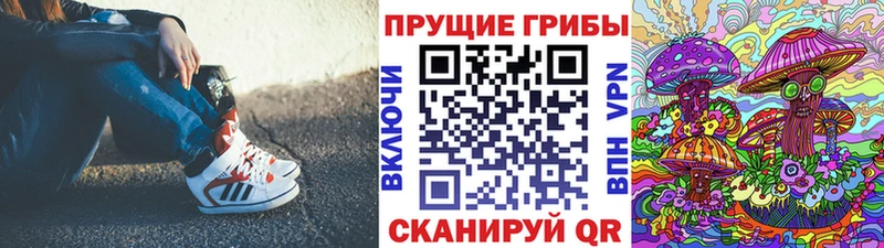 kraken ТОР  Николаевск  Псилоцибиновые грибы Psilocybe 
